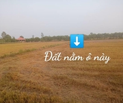 3 Cần bán gấp 4 công đất ruộng kênh 4 - Châu Phú An Giang