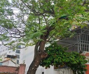 2 Bán đất mặt tiền hàn mặc tử cạnh phố tây, phố đi bộ 276 tỷ. giá chỉ 3x triệu/m2
