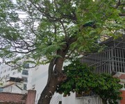 4 Bán đất mặt tiền hàn mặc tử cạnh phố tây, phố đi bộ 276 tỷ. giá chỉ 3x triệu/m2