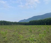 Cần bán 20000m  2hec   đất trồng cây lâu năm tại xã hoà phú, hoà vang