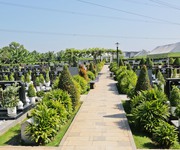 7 Bán nền đất huyệt mộ các loại trong Nghĩa trang Sài Gòn Thiên Phúc
