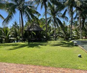 Chào bán căn villa view lúa cực chill khu sinh thái Cẩm Thanh,có sẵn HD cho thuê 70tr/tháng