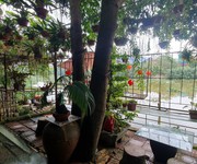 4 Chính chủ, không qua trung gian bán nhà tại xã vũ quý, kiến xương, thái bình