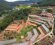 2 Bán đất mimosa phường 10 đà lạt 9000m2 chỉ 4,5tr/m2