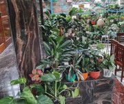 Bán nhà đẹp, mới xây, GIÁ RẺ, tại thôn Phước Lộc, xã Phước Đồng, Nha - 17
