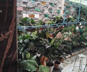 Bán nhà đẹp, mới xây, GIÁ RẺ, tại thôn Phước Lộc, xã Phước Đồng, Nha - 18