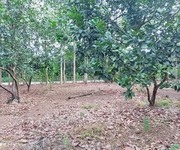 5 Chính chủ bán 2000 m2 đất vườn cây ăn trái - Trảng Bom - Sổ riêng.