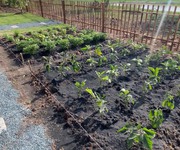 1 Bán đất tặng vườn ngay TTHC Hớn Quản