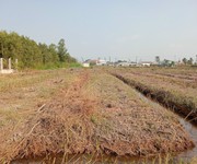 Chính chủ cần bán lô đất vườn ở đường nhựa n2   xã thanh lợi   h. bến lức   long an.