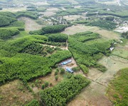 Đất vườn Diên Xuân gần dân Diên tích 500m2 đường oto tận nơi Cách dân chỉ vài trăm mét Phù hợp làm v