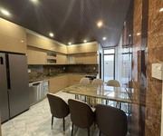 1 Bán nhà mt lê lợi 119m2 gần trường chọn thpt phan chu trinh, trường skyline trung tâm tp