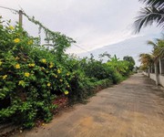 Chính chủ cho thuê đất quận 9, HCM Chính chủ cho thuê đất quận 9, HCM