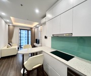 Cho thuê căn hộ 1,5 ngủ nội thất hiện đại mới tinh tại Hoàng Huy Commerce