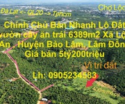 Chính chủ bán nhanh lô đất vườn cây ăn trái 6389m2 xã lộc an , huyện bảo lâm, lâm đồng