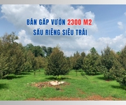 Kèo ngon 2300m  Vườn Sầu chỉ 350 Triệu