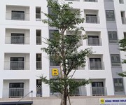 8 Chính chủ cần bán gấp đất tại P. An Thạnh, Thuận An, Bình Dương.