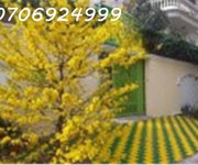 3 Chính chủ bán biệt thự 300m2 - góc 2 mặt tiền 12x25 m khu vip tên lửa