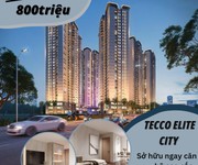 Siêu phẩm đầu tư Tecco Elite City  Chỉ từ 800tr sở hữu ngay căn hộ cấp, tỷ suất sinh lời cao
