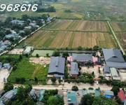 3 Sang nhượng dự án nông nghiệp an toàn vietgap tại kim phú, tp tuyên quang  sát khu đô thị danko kim
