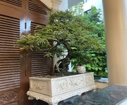 Biệt thự siêu đẹp Xuân Diệu, Tây Hồ, lô góc, thang máy, ô tô, giá chỉ 45 tỷ