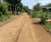 Vườn sầu riêng hơn 500m2 ở Bình Phước bán giá ngộp trong tuần chỉ 285 triệu