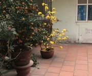 4 Cho thuê phòng trọ giá rẻ 4 Cho thuê phòng trọ giá rẻ