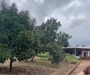Cần bán lô đất 3 mẫu 5 đất đỏ banzan tại xã suối cao huyện xuân lộc tỉnh đồng nai
