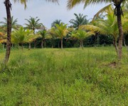 Chính chủ cần bán đất vườn dừa - giá tốt tại  ấp dầu-đông hòa- châu thành- tiền giang