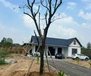 Bán đất rừng trên đất có nhà mái thái tại Thanh Vân, Tam Dương, Vĩnh Phúc