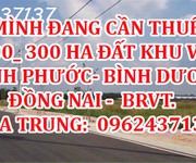 Mình đang cần thuê 200  300 ha đất khu vực  bình phước - bình dương - đồng nai, brvt.