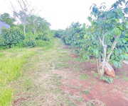 2 1ha đất thiện chí, ninh gia đức trọng, Lâm Đồng