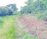 3 1ha đất thiện chí, ninh gia đức trọng, Lâm Đồng