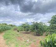 6 1ha đất thiện chí, ninh gia đức trọng, Lâm Đồng