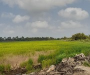 1 Chính chủ cần bán đất lúa  ở xã hòa điền - h. kiên lương- kiên giang.