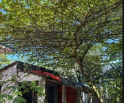 3 Chính chủ cho thuê 2 nhà riêng đường cao thị bèo - huyện củ chi - tp hồ chí minh 3 Chính chủ cho thuê 2 nhà riêng đường cao thị bèo - huyện củ chi - tp hồ chí minh