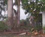 4 Chính chủ cần bán gấp lô đất thị trấn đông thành khu đông dân cư , giá cực tốt