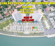 Bán gấp 2 căn biệt thự đơn lập The Sapphire Mansion Hạ Long 255m2 giá tốt nhất