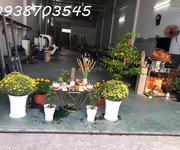 2 Bán nhà mt trần văn giàu bình chánh 6,45 x50m 250m2 thổ cư giá 11,7 tỷ