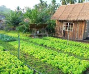 1 Bán Đất Vườn Thoáng Mát, View Hồ Trị An - Tiềm Năng Phát Triển Mạnh