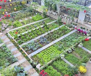 3 Bán Đất Vườn Thoáng Mát, View Hồ Trị An - Tiềm Năng Phát Triển Mạnh