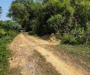 3 Cần bán đất đồi làm homestay, kinh doanh dịch vụ du lịch, diện tích 1,3ha giá 1,5 tỷ.