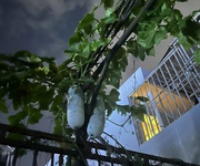 4 Giá rẻ tìm đâu ra mtkd quang trung 140m2 ngang 5.5m 3 lầu ngay vincom kd đa ngành 18 tỷ.