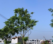 1 Bán đất kđt kỳ đồng vị trí cực đẹp giá cực rẻ, dt 225m2, mt 10m