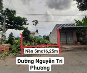 Bán 81.2m2 nền siêu đẹp cho nhà đầu tư tại mặt tiền đường nguyễn tri phương, thị trấn mỹ an