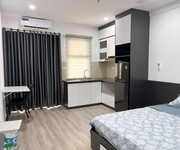 3 Evergreen tràng duệ hải phòng