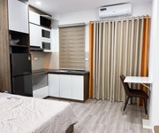 6 Evergreen tràng duệ hải phòng