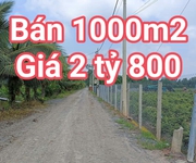 Bán lô đất 1000m2- giá chỉ 2 tỷ 800- bình lợi - bình chánh- gọi cho em xem đất