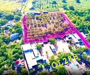 1 Chính chủ bán đất đẹp   cơ hội đầu tư siêu hấp dẫn