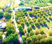 3 Chính chủ bán đất đẹp   cơ hội đầu tư siêu hấp dẫn