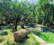 Vỡ nợ cần bán lỗ 3500 m2. giá 310tr đường 10m, có nhà vườn nhỏ.